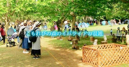 【こもれび森のイバライド混雑2024】春夏冬休み(GWお盆)平日・土日！駐車場混雑